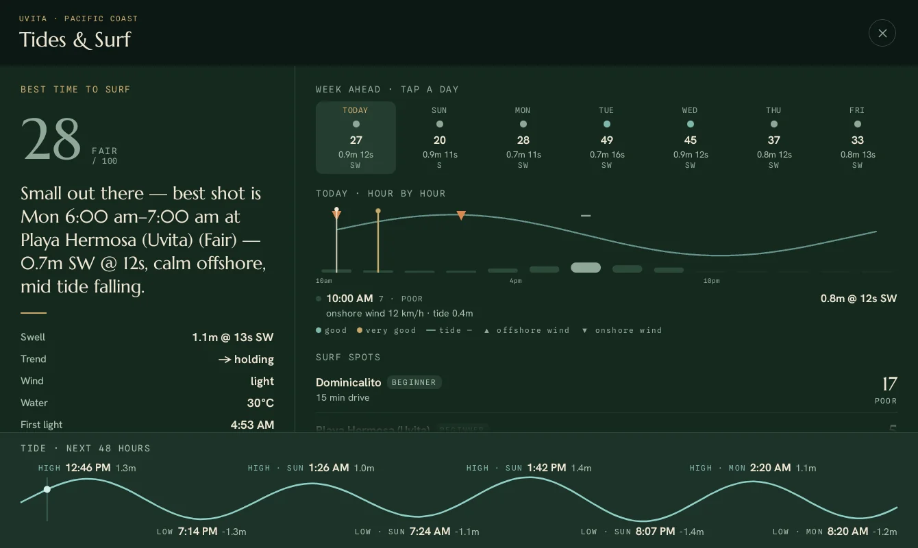 The Tides and Surf screen: a week-ahead day picker, an hour-by-hour surf timeline, scored nearby spots and a 48-hour tide curve.